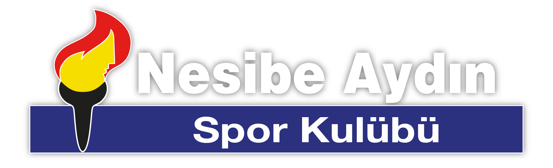 Nesibe Aydın Spor Kulübü